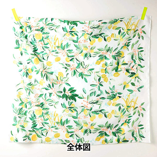 【数量5起】 織物 MARGO EGX-11361-1A" KOKKA