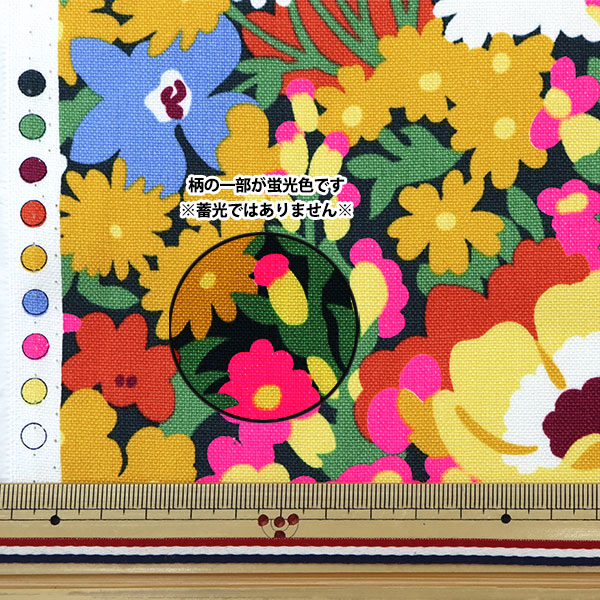 【数量5から】 生地 『リバティ・ファブリックス 11号帆布 ロード・ソープ 3635191-J25A』 Liberty Japan リバティジャパン