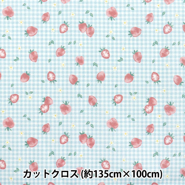 生地 『すごく水をはじく抗菌防臭超撥水ポリエステル カットクロス 約135cm×100cm ストロベリーチェック ブルー C-HP-SC-ST-BL』