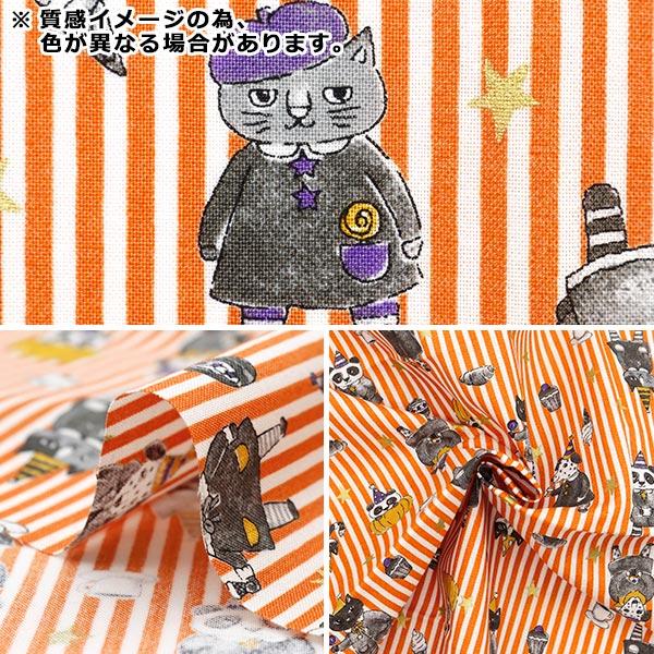 Fabric 『Sheeting Halloween stripe Cut Cloth Approximately 110cm x 50cm black C-YG-76020-1B" KOKKA