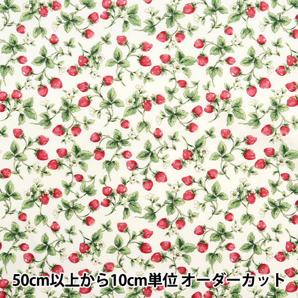 【数量5から】 生地 『ブロード いちご アイボリー KTS7090-A』 COTTON KOBAYASHI コットンこばやし 小林繊維