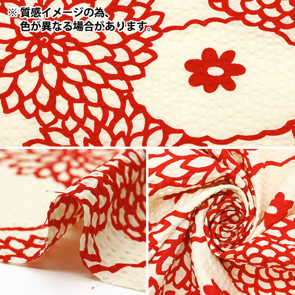 【数量5起】 織物 “早子布波纹印花装饰象牙色×黑色UP5948-B" COTTON KOBAYASHI