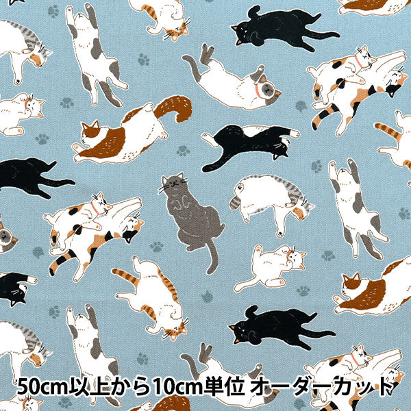 【数量5起】 織物 『牛津布 脐天猫萨克斯AP52903-2C"