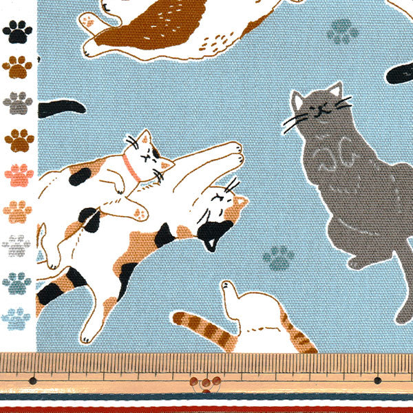 【数量5起】 織物 『牛津布 脐天猫萨克斯AP52903-2C"