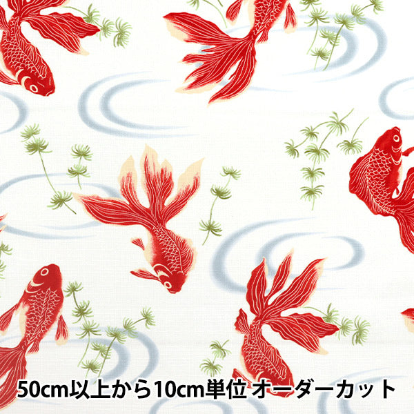 【数量5から】 生地 『ドビー 和柄 金魚 オフ 1025-1100-2A』