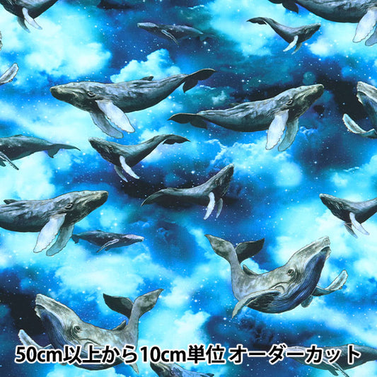 【数量5から】 生地 『デジタルプリント ミンスイ くじら mingswim011』