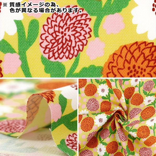 【数量5起】 織物 "kippis(基皮斯) 牛津布 大丽花紫KPO-93B"