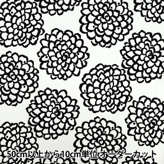 【数量5起】 織物 “快点,这布 牛津布 大丽花白色×黑色acs115 - c" COTTON KOBAYASHI