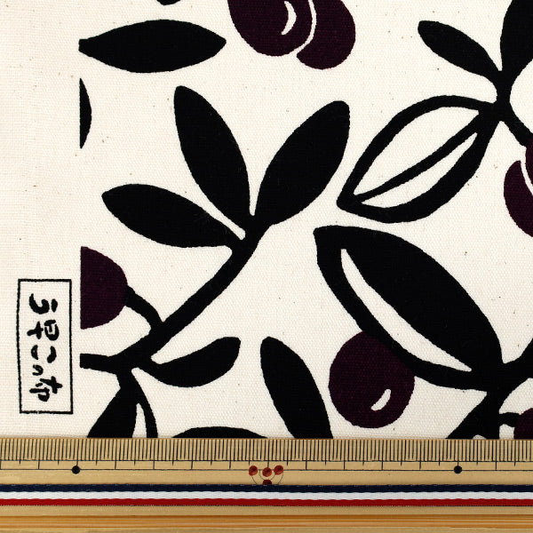 【数量5起】 織物 “快点,这布 牛津布 橄榄树×紫色ACS1136-A" COTTON KOBAYASHI