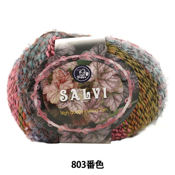 秋冬纱线 “萨尔维(萨尔维)803颜色” Puppy