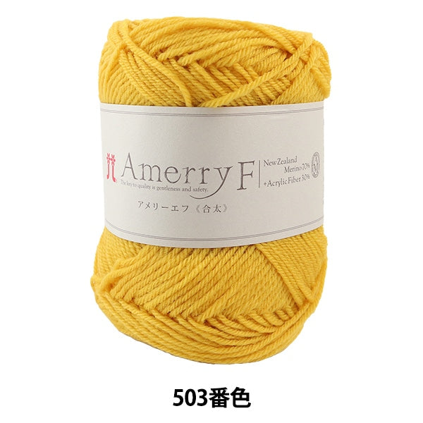 秋冬纱线 “ Amerry F(Ameyev)(gota)503颜色” Hamanaka