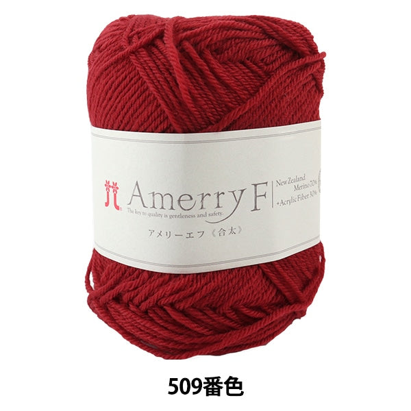 秋冬纱线 “ Amerry F(Ameyev)(gota)509颜色” Hamanaka