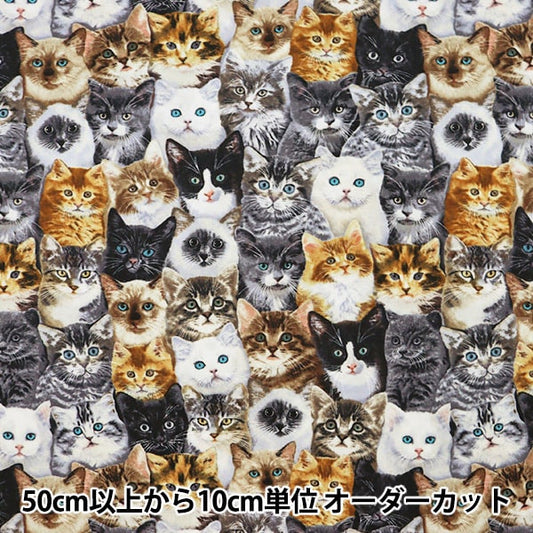 【数量5から】 生地 『インクジェットプリント ねこ C8417-MULTI』 USAコットン