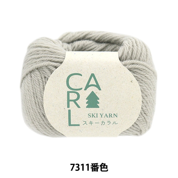Fall and winterYarn "Ski Caral 7311 Color" SKIYARN Ski Yarn