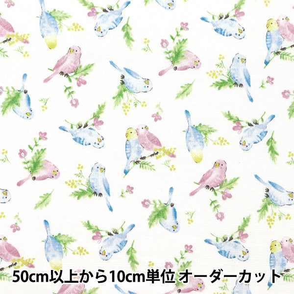 【数量5から】 生地 『シーチング カラフルキャンバス 水彩インコ柄 ホワイト COCAN-BIR-WH』 KOKKA コッカ