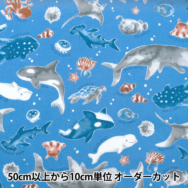 【数量5から】 生地 『オックス カラフルキャンバス 海の生き物図 ブルー COCAN-SEA-BL』 KOKKA コッカ