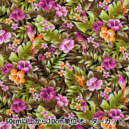 【数量5から】 生地 『ブロード ハワイアンプリント モンステラと鳥 ブラウン 281-C-BR』