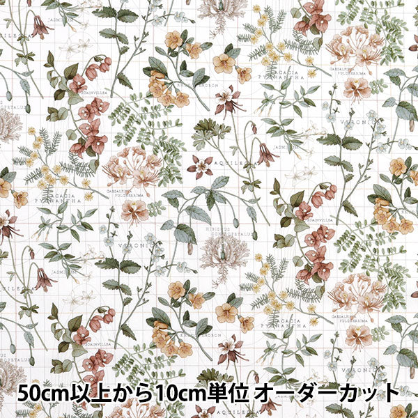 【数量5から】 生地 『リバティ・ファブリックス タナローン ボタニストズジャーニー 3634234-24BU』 Liberty Japan リバティジャパン