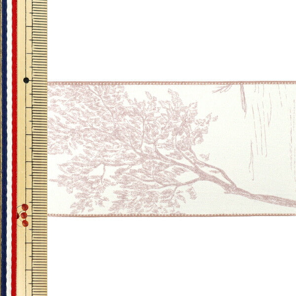 絲帶 《印刷》絲帶 特瓦尔德朱伊2025约宽50mm×长2m粉红色YRC2522-50"