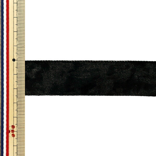 絲帶 贝洛瓦絲帶 2025约宽25mm×长2m黑色YRC2544-25"