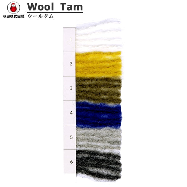 秋冬纱线 “羊毛Tam(Wooltum)3颜色” Daruma DARUMA 横田