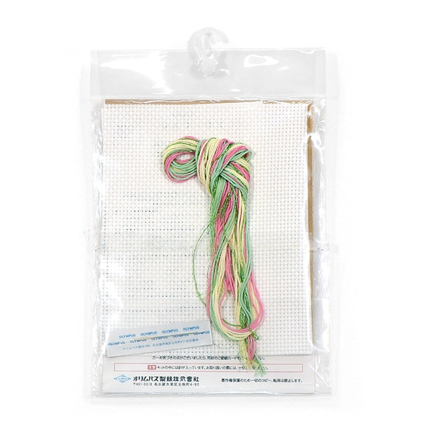Embroidery kit "My style (My style) floral 9094" Olympus