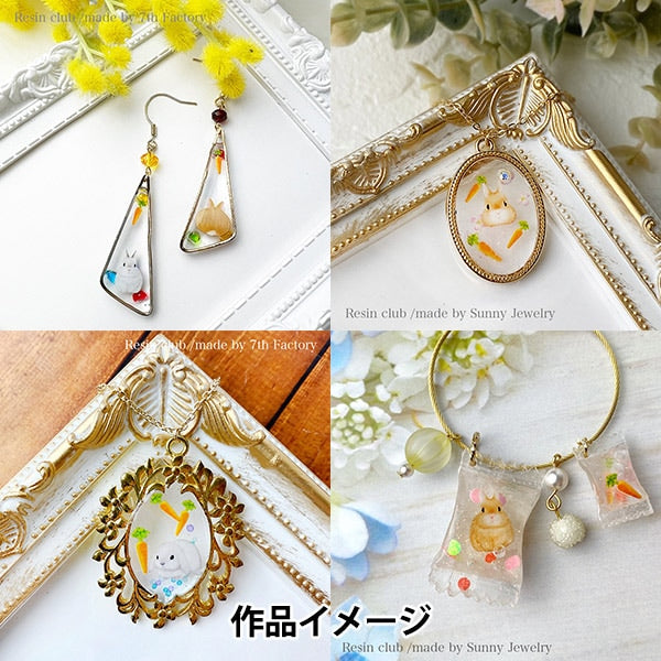 Resin material "Mofumofu rabbit double-sided RC-RAB-102" resin club