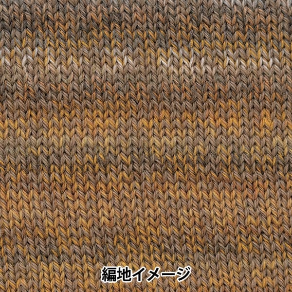秋冬纱线 “百分比变化302颜色” Richmore Rich More