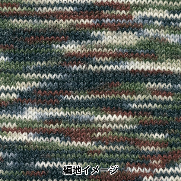 秋冬纱线 “ Rapx多色508颜色” Hamanaka