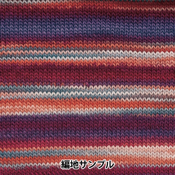 秋冬纱线 “ waby(渐变)第六颜色” Hamanaka