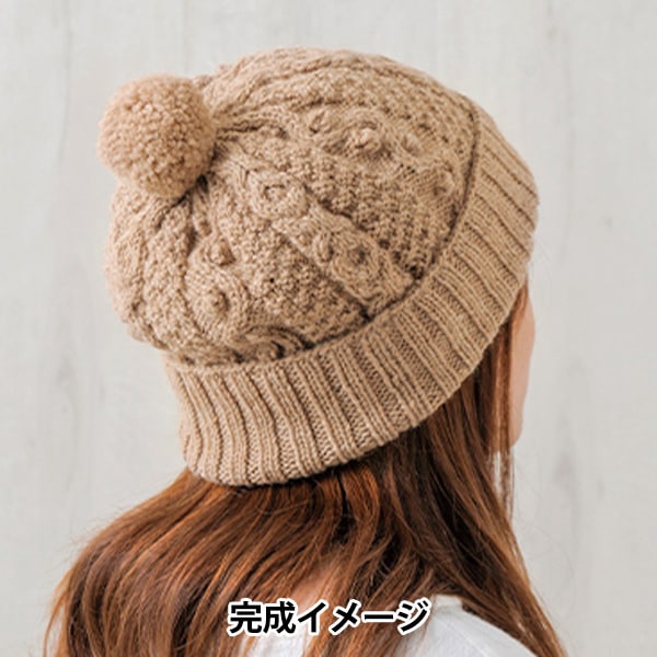 编织套件“艾伦图案针织帽棕色H145-233-103” Hamanaka