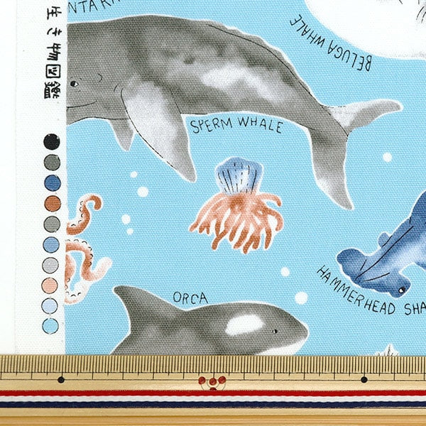 【数量5から】 生地 『オックス カラフルキャンバス 海の生き物図 ライトブルー COCAN-SEA-LBL』 KOKKA コッカ