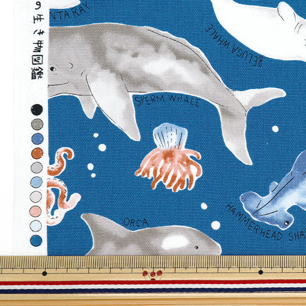 【数量5から】 生地 『オックス カラフルキャンバス 海の生き物図 ネイビー COCAN-SEA-NV』 KOKKA コッカ