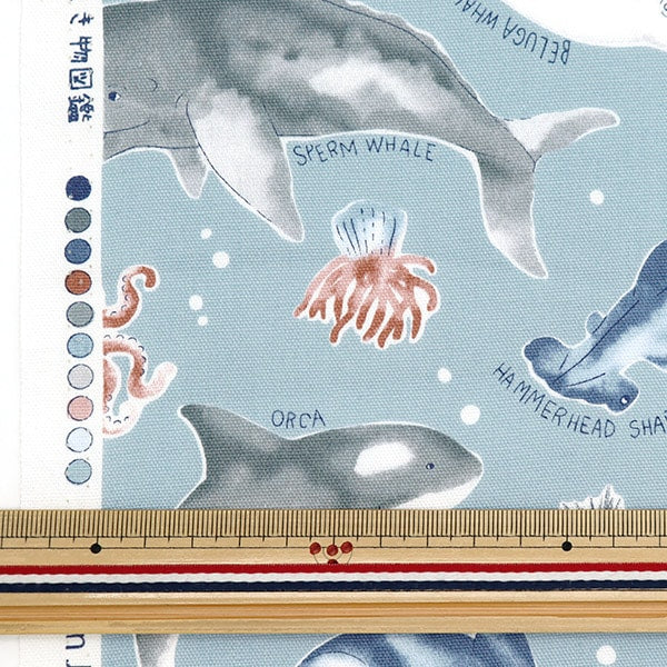 【数量5から】 生地 『オックス カラフルキャンバス 海の生き物図 グレー COCAN-SEA-GY』 KOKKA コッカ