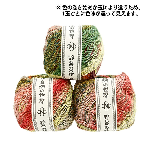 春夏纱线 “ Natsumeki 4 No. 4” Noro Hidaku Noro