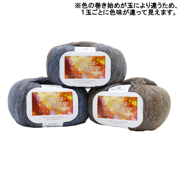 秋冬紗線 『羊駝毛聯盟登錄115顏色“ Richmore Rich More