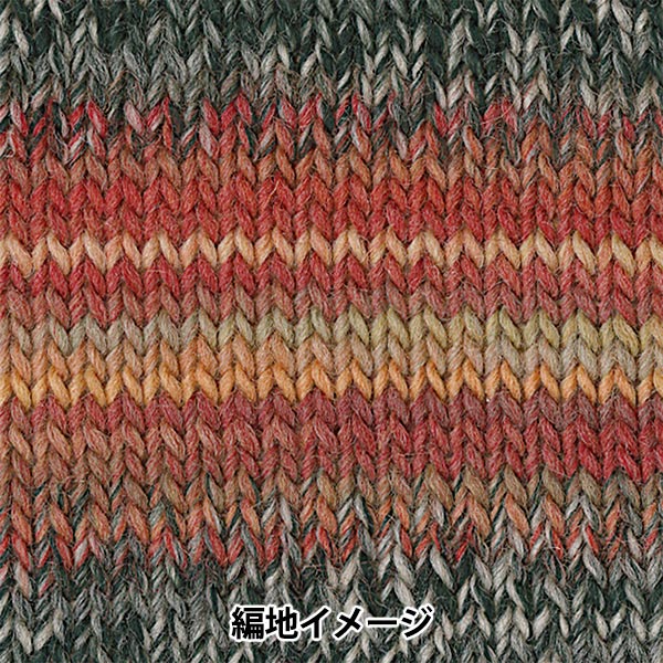 秋冬纱线 “化妆100 1035颜色” Olympus
