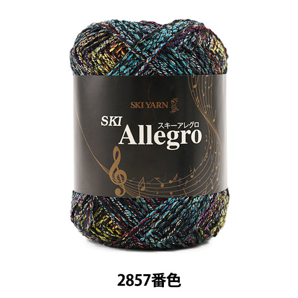 秋冬毛糸 『SKI Allegro (スキーアレグロ) 2857番色』 SKIYARN スキーヤーン
