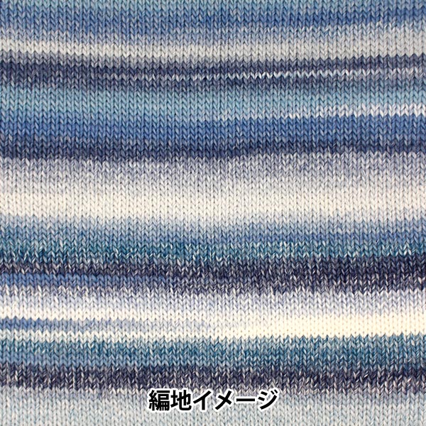 秋冬纱线 “ Piecho 707th颜色”滑雪滑雪纱