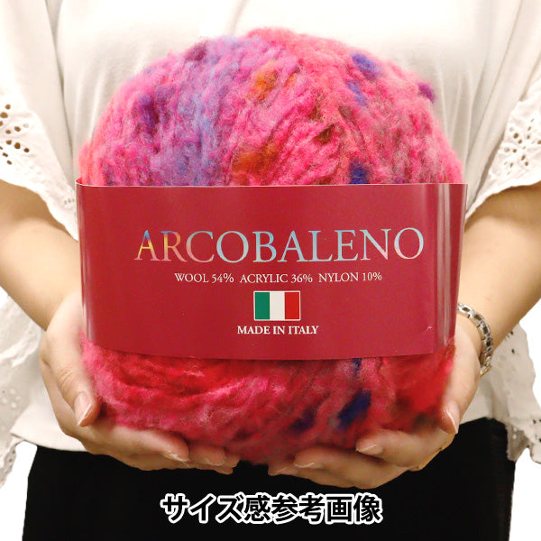 秋冬紗線 “ Alco Valano 401顏色”滑雪滑雪紗