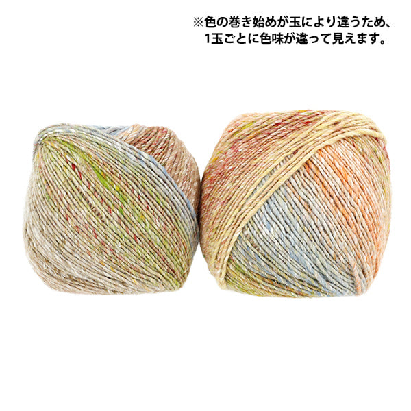 秋冬纱线 《六花No.13》NORO Eisaku Noro