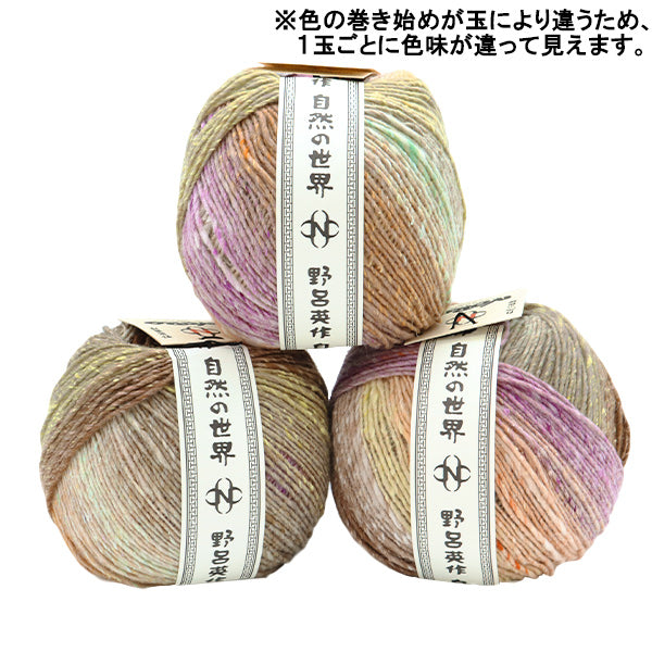 秋冬纱线 “冬天的崛起,颜色7” Noro Noro Hidesaku