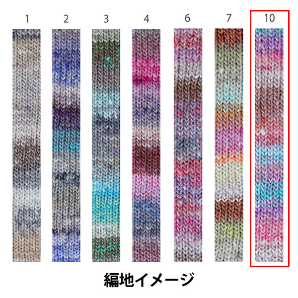 秋冬纱线 “冬天的崛起,颜色10” Noro Noro Hidesaku