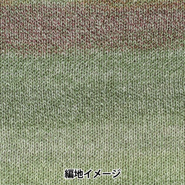 秋冬纱线 “ Topsy第二颜色” Hamanaka