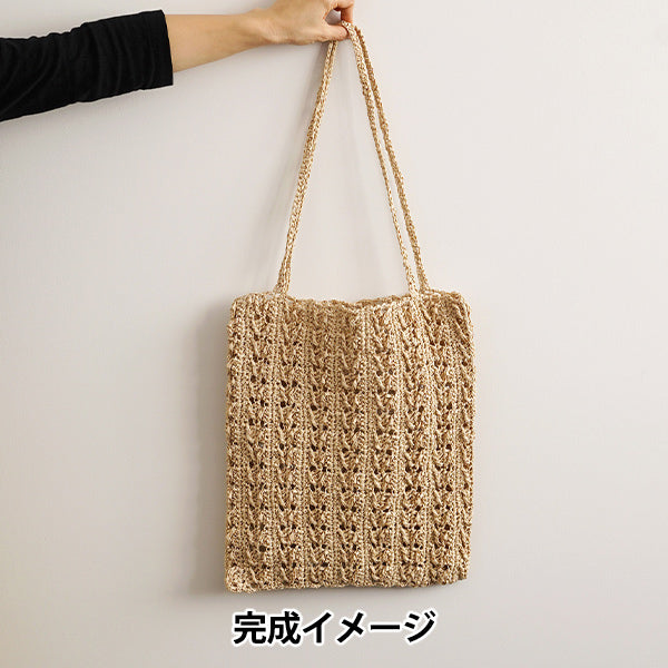 编织套件 "V-MOTIF条纹袋B 25S-0903" 达鲁马 DARUMA 横田