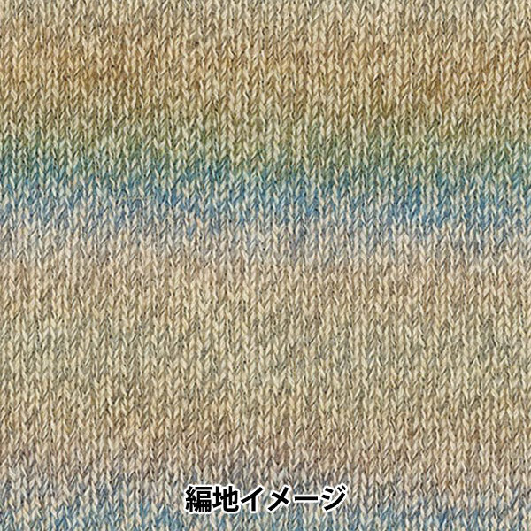 秋冬毛糸 『バカラ・クロッシェ 406番色』 Rich More リッチモア