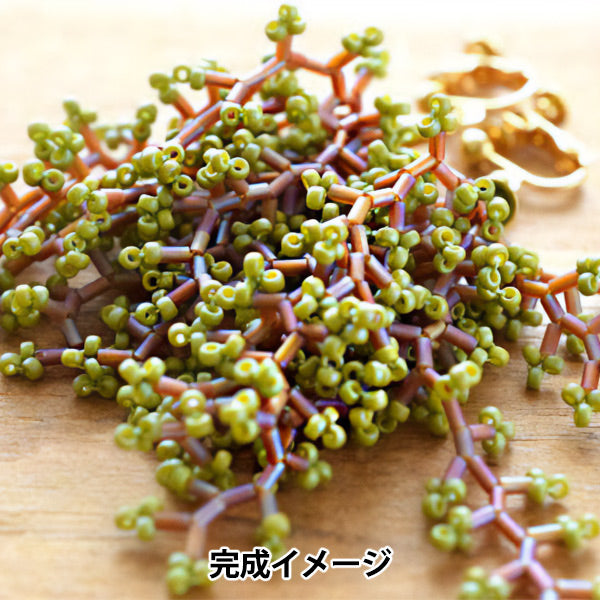 BeadsKit "The Earrings in the Brites HCA23 // 6" MIYUKI Miyuki