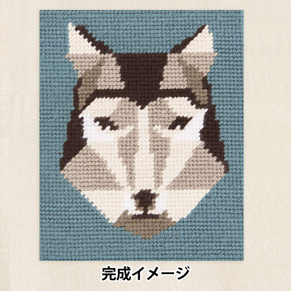 Embroidery kit "Designer Collection Geoulf C141K" DMC Diementsea