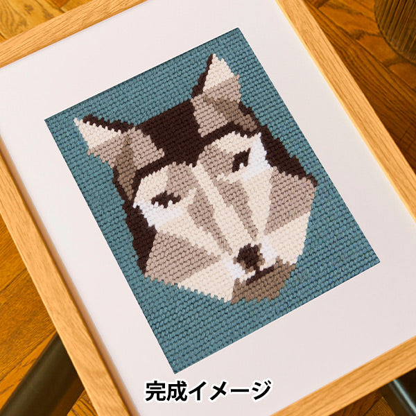 Embroidery kit "Designer Collection Geoulf C141K" DMC Diementsea