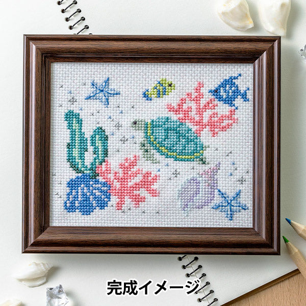 《闪亮的日本季节大海的回忆522402》" lecien Lecien cosmo